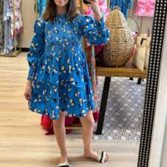 Briton Court Carolina Smocked Mini Dress, Sz M NWT - Picture 3 of 12